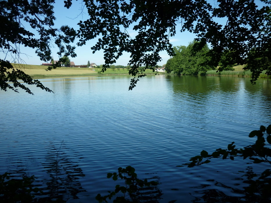 Oberthurgau / Tannenberg
