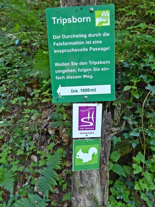 Teilstück Idesbachpfad (Tripsborn-Golfplatz-Zig-Zag Weg )