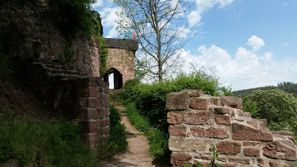 Goldstadttour: Die Burg Liebenzell, die Maisenbacher Sägmühle und das Lengenbachtal