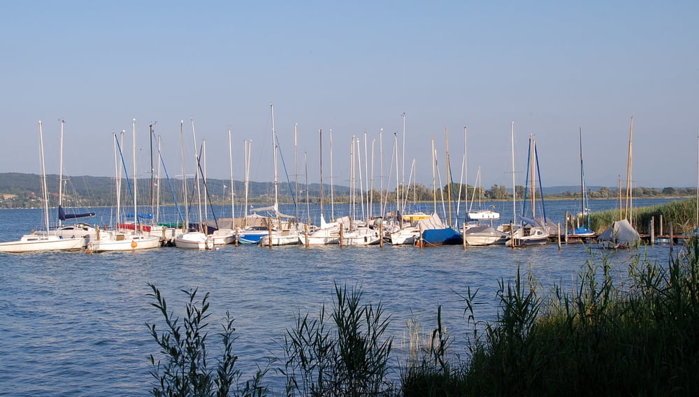 Den "Bauernsee" im Blick Am Westufer des Ammersees Wanderserie Augsburger Allgemeine Landsberger Tagblatt Mittelschwäbische Nachrichten Kreis Landsberg Raum Dießen