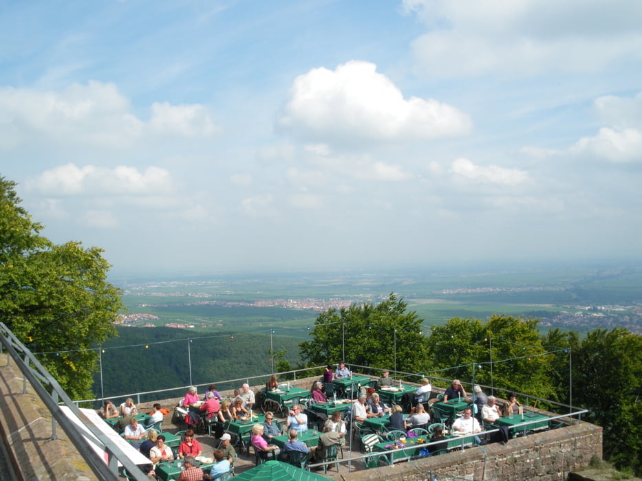 Rundweg Rietburg Edenkoben