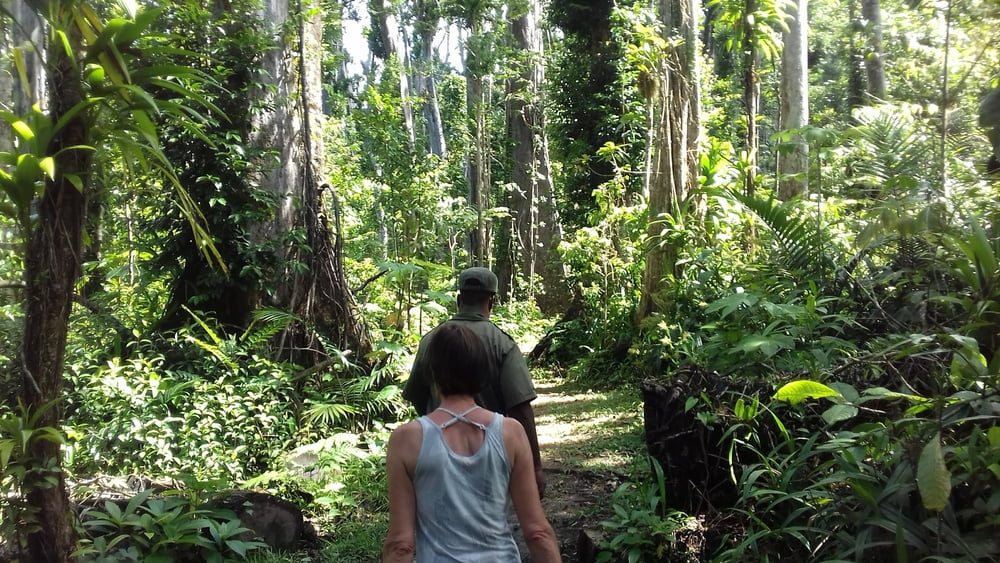 Waitukubuli trail, segment 11