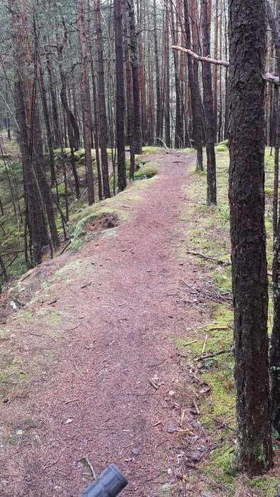 Heidenberg Trails