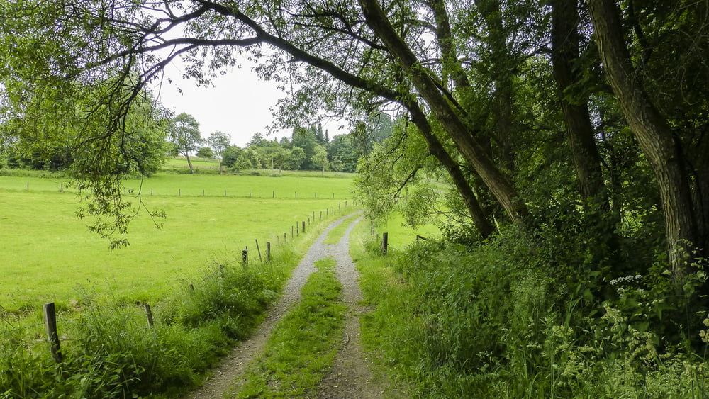 140604 Waldmythenweg