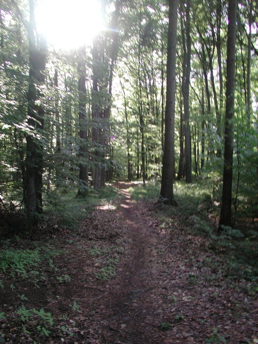 Obersulm -> Salzweg