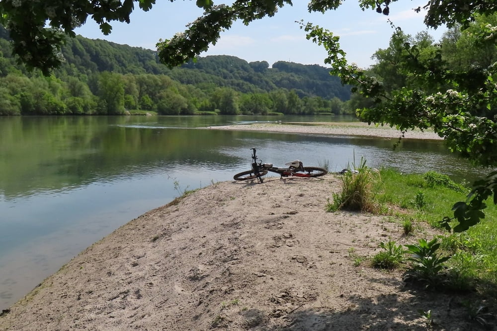 Alztrails zwischen Wald/Garching und dem Inn
