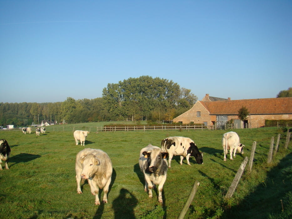 Wandelen in Herne