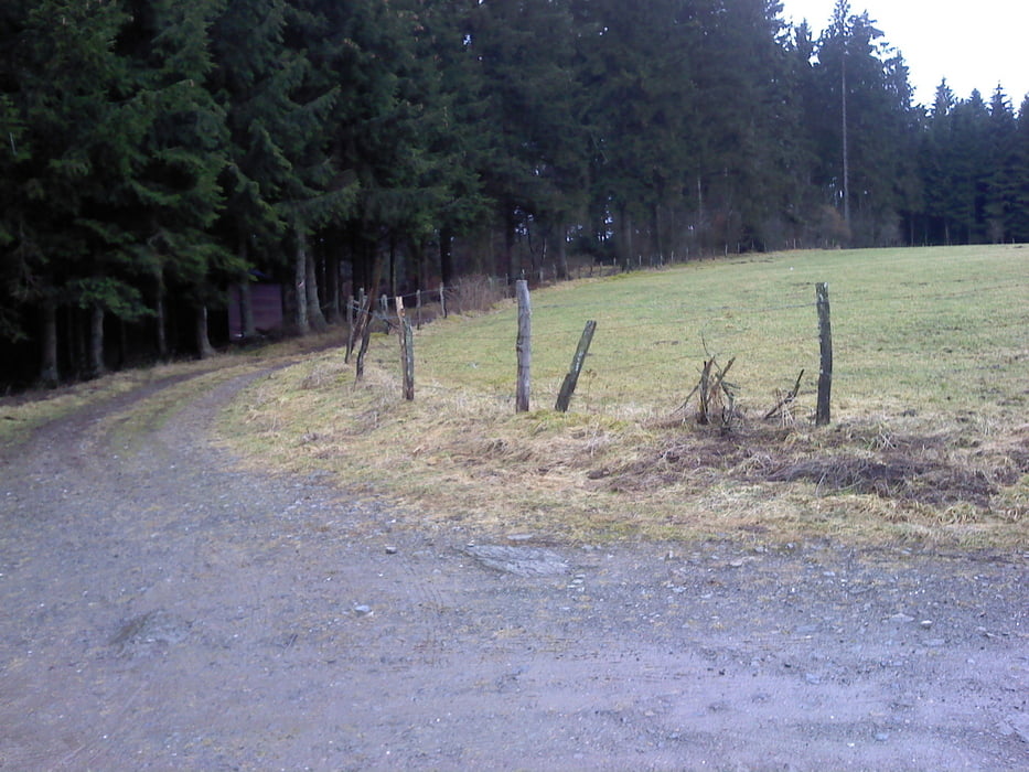 Wandern um Schönberg-1