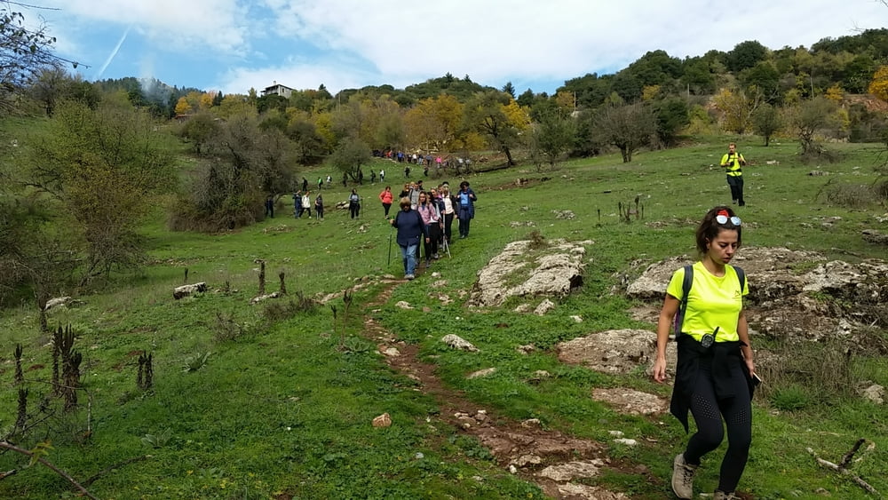 Menalon Trail, Sektion 4, von Elati nach Vytina 