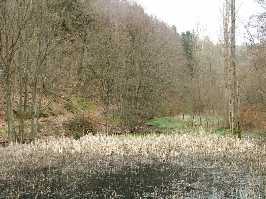 Taunus: Bad Camberg - Alsdorfer Weiher - Bad Camberg