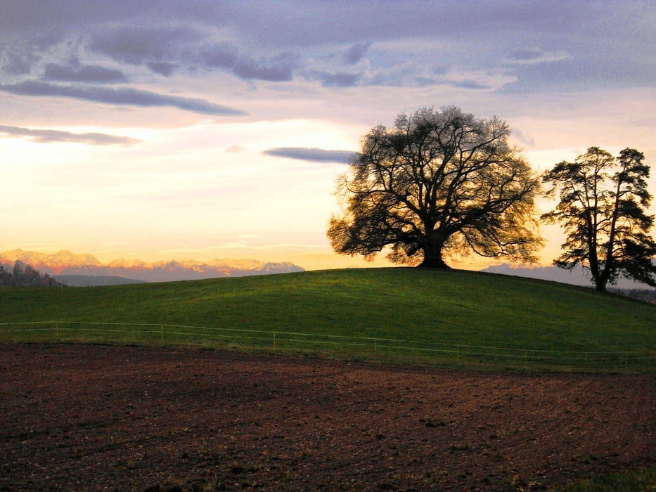 Schlier-Lauratal-Zundelbacher Linde- Rößlerweiher