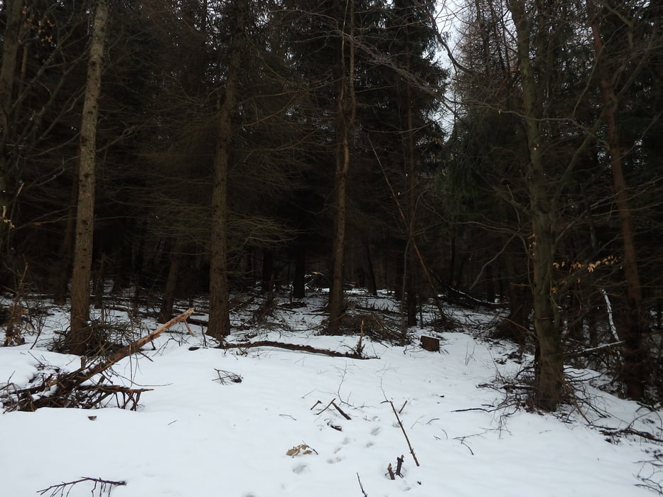 14/2019.Malý Inovec