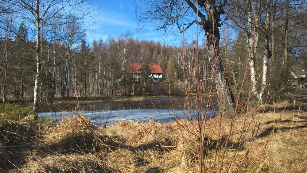 Auf dem Weg