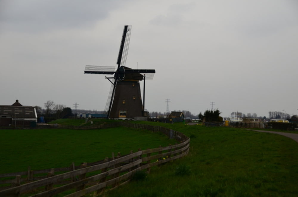 Bloembollen en windmolens