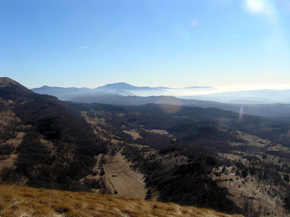 Kavčič