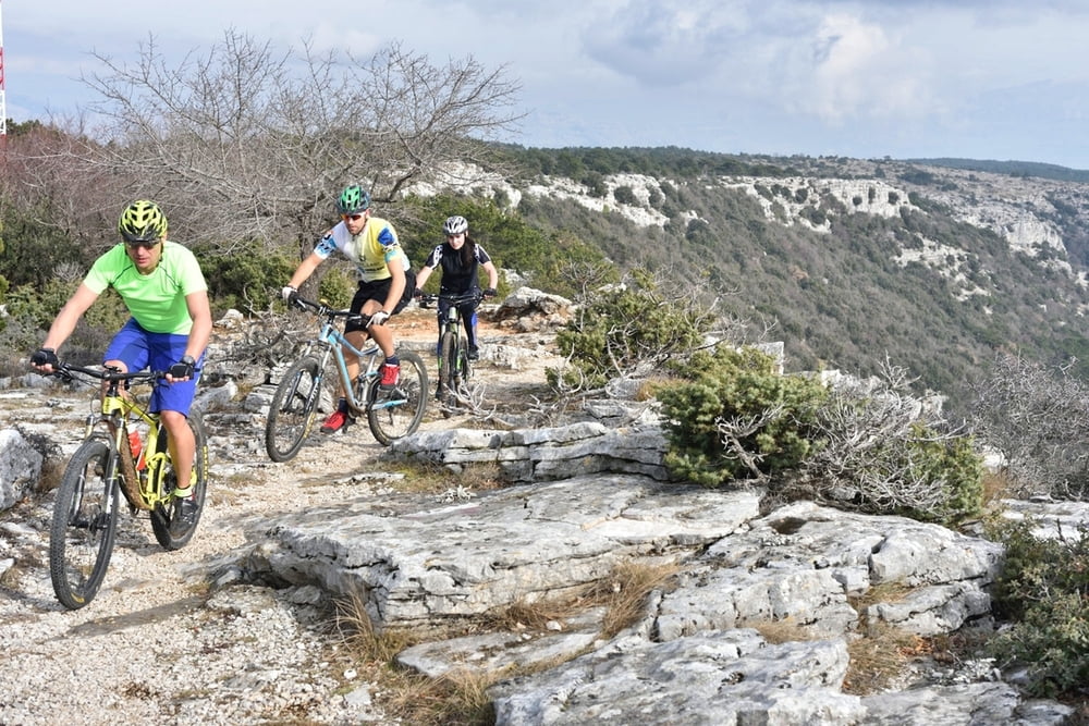 MTB BOL 3