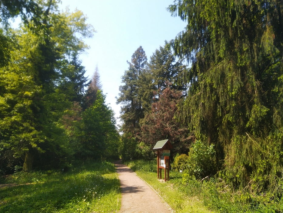 Hradec Král. -lesem Šanovec -Vysoké Chvojno -Biřička -Kříž