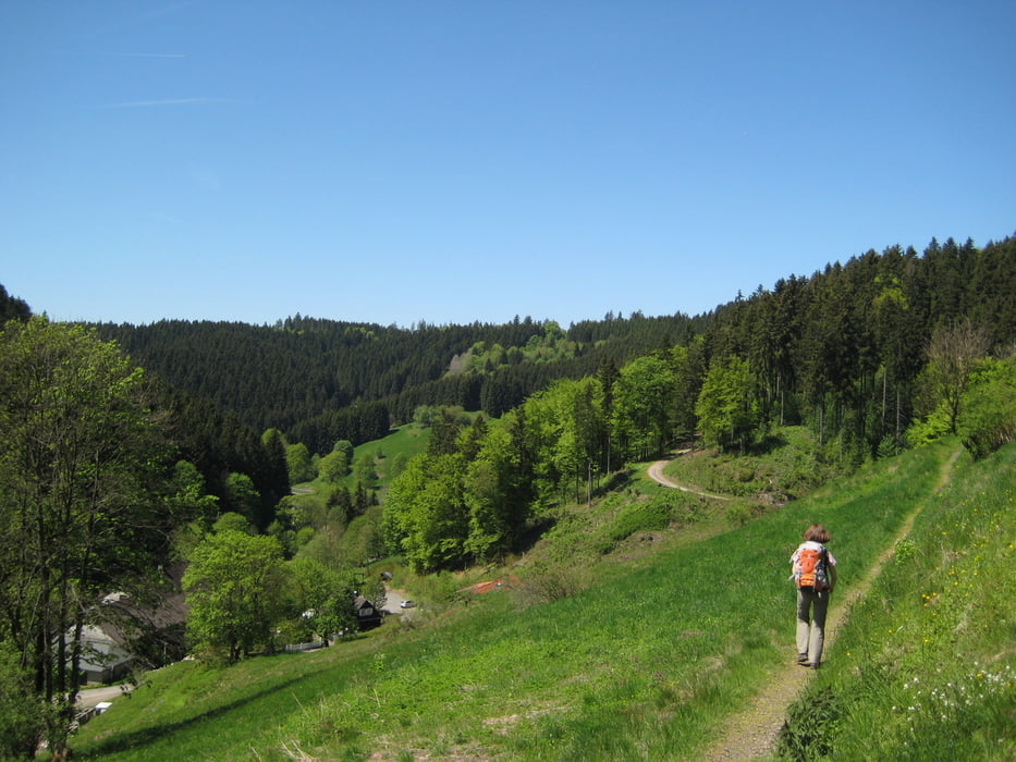 Höhenweg um St. Andreasberg