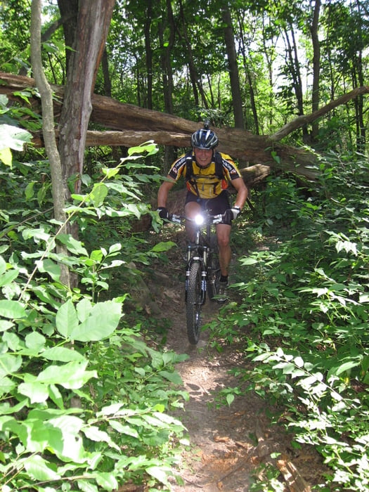 HvdH-48 "USA11-Holly - Grainder Trail"