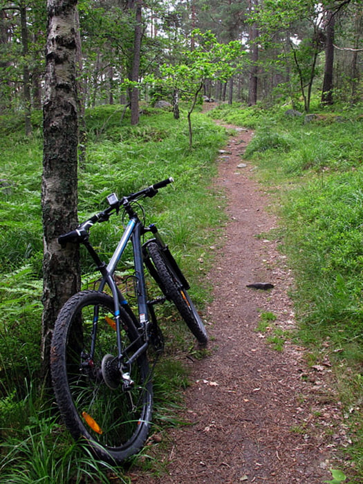 Mountainbiketour bei Stockholm 1