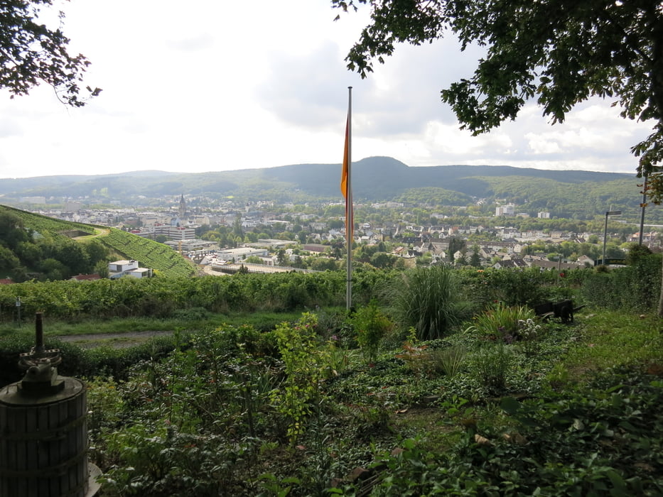 der Rotweinwanderweg an der Ahr III/III