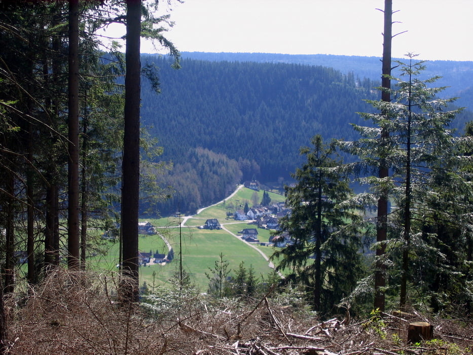 Tour mit Aussichten in Baiersbronn