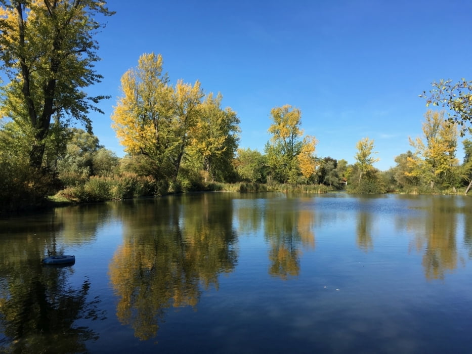 Hannover - Naturschutzgebiet Alte Leine (Nord)
