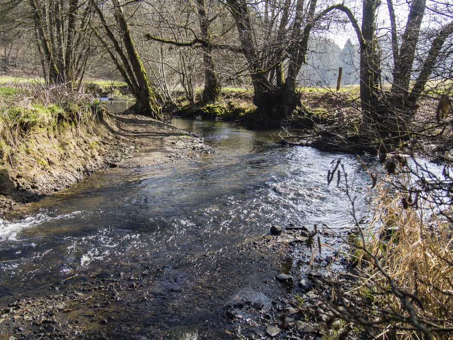 140308 Naafbach - Holzbach
