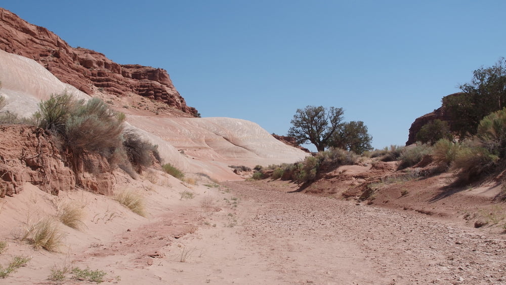 White House Trailhead - Nautilus/The White Wave