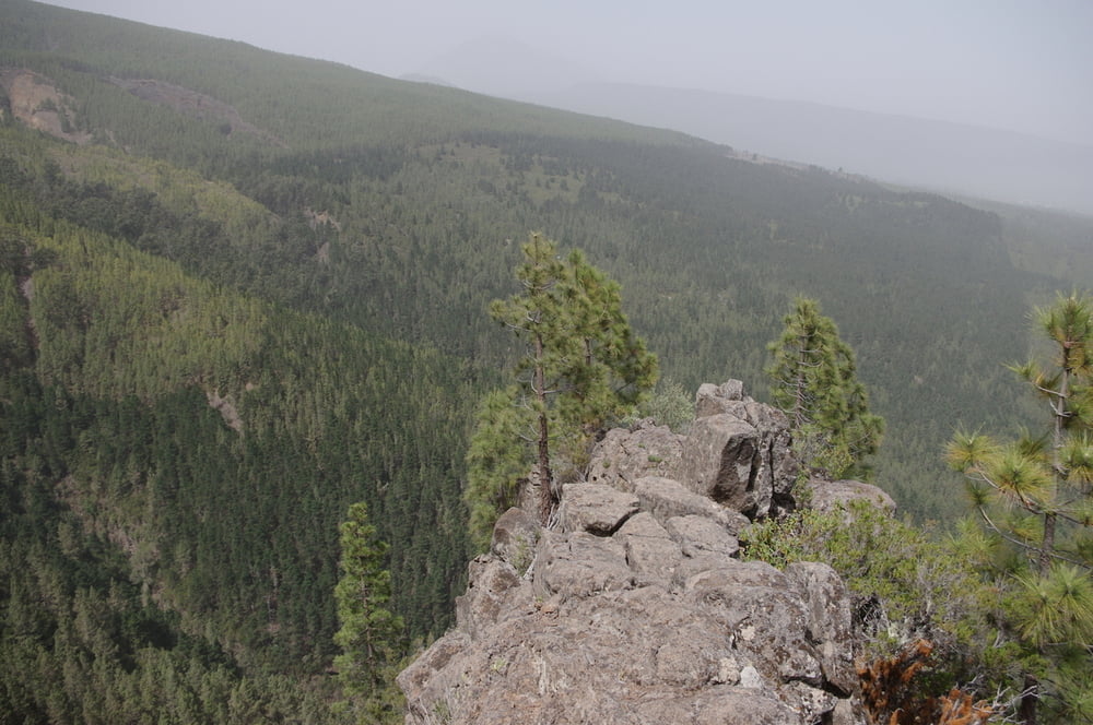 Panoramaweg im Orotavatal