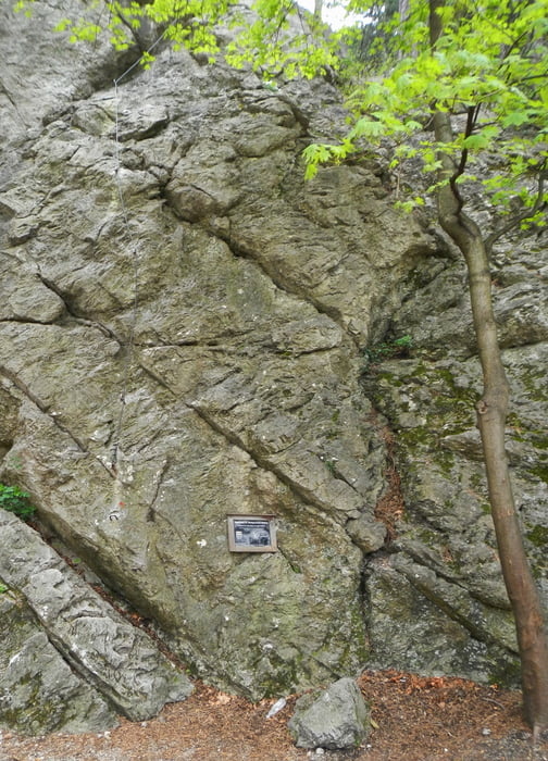 Mödlinger Klettersteig und Radtour