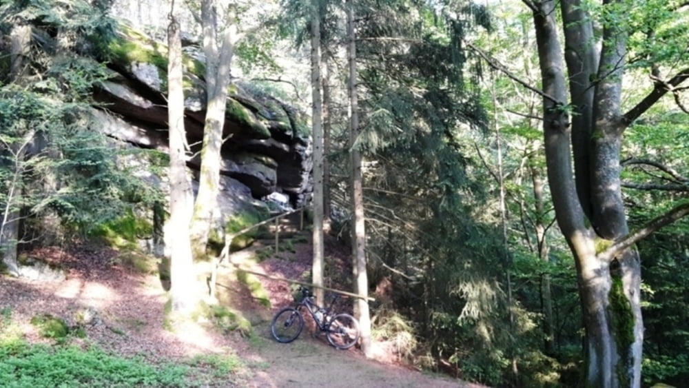 Dörflinger Grotte-Sengersberg-Falkensteiner Trails