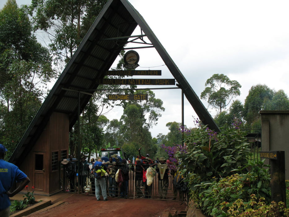 Kilimanjaro