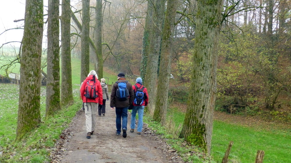 131124 Eifgenbach