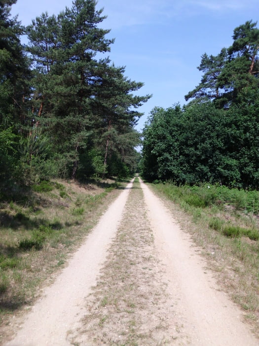Maas - Runde Roermond - Venlo