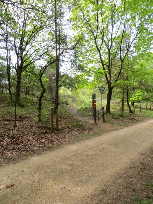 MTBS - Grenzland Marathon