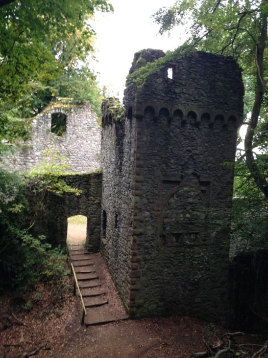 Ruine Rodenstein (mit Trail)