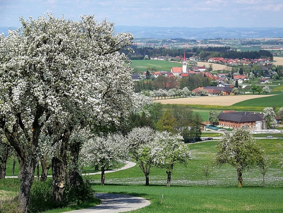 Rundweg im Mostviertel