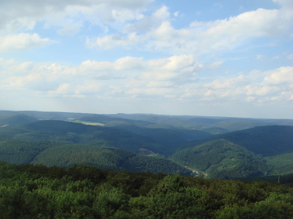 MTB Tour Katzenbuckel