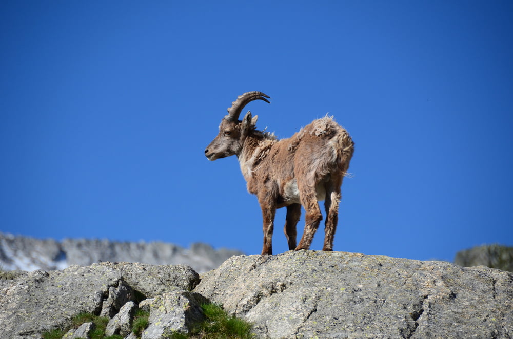 Diga del Cingino