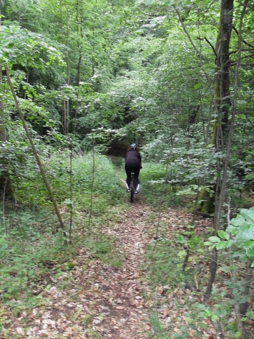 Trailrunde Kleinrinderfeld Blutsee Guttenberg Reichberg Kleinrinderfeld
