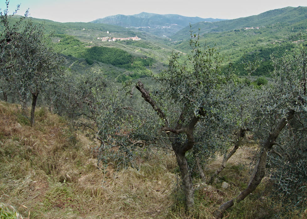 Im Tal des Maro