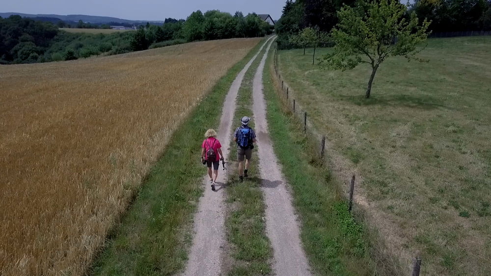 Der Eifelsteig: 13. Etappe, Kloster Himmerod - Bruch