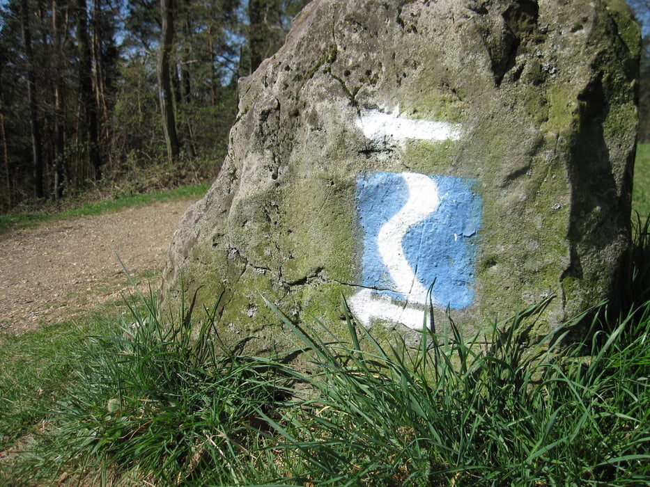 Rheinsteig Etappe 1 - Bonn-Königswinter