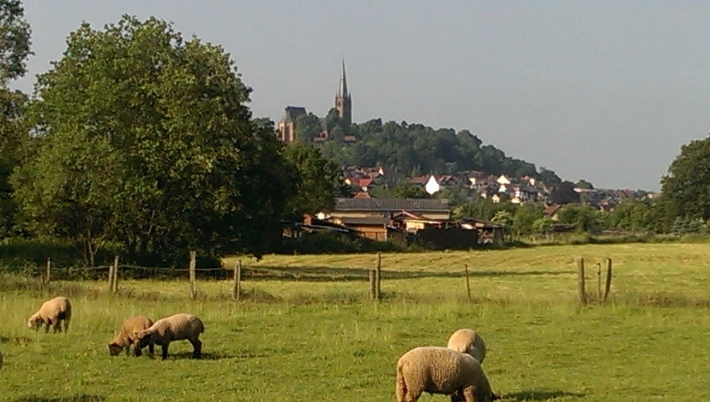 Winterberg-Hannover