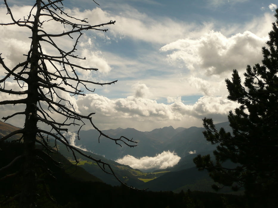 Schweizer Nationalpark und Stilfser Joch Radelnanders Schweiz Graubünden Italien Südtirol Mittelschwäbische Nachrichten Radführer West Augsburger Allgemeine