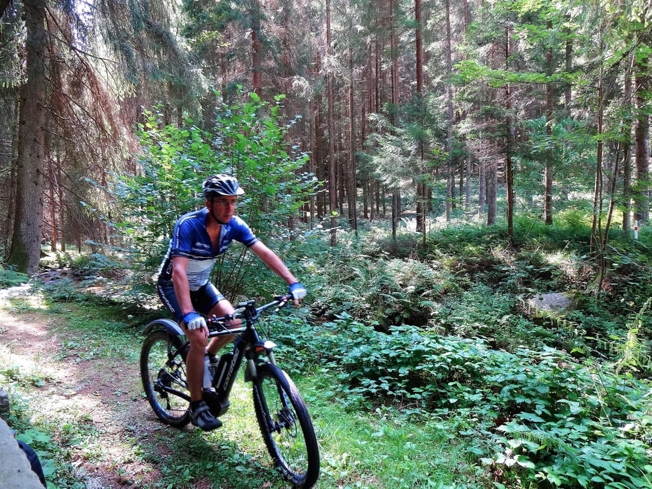 Weitersfelden - Berger Mühle - Kammerer Kreuz > e-mtb