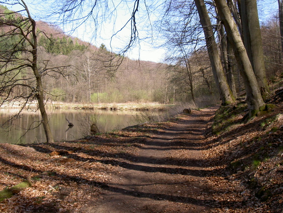 Saar-Blies-Lothringen