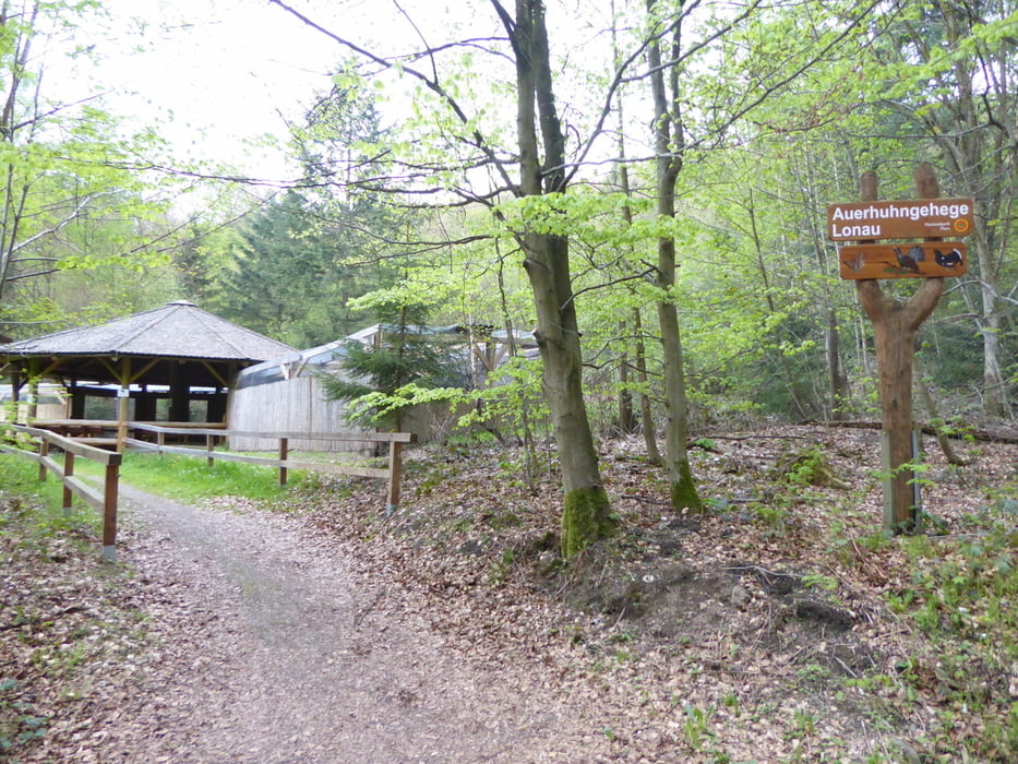 Lonau - Paradies - Herzberg - Seelenpfad - Auerhuhngehege