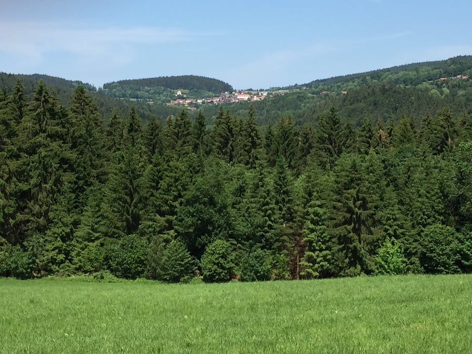 DEG004 Kalteck-Hirschenstein